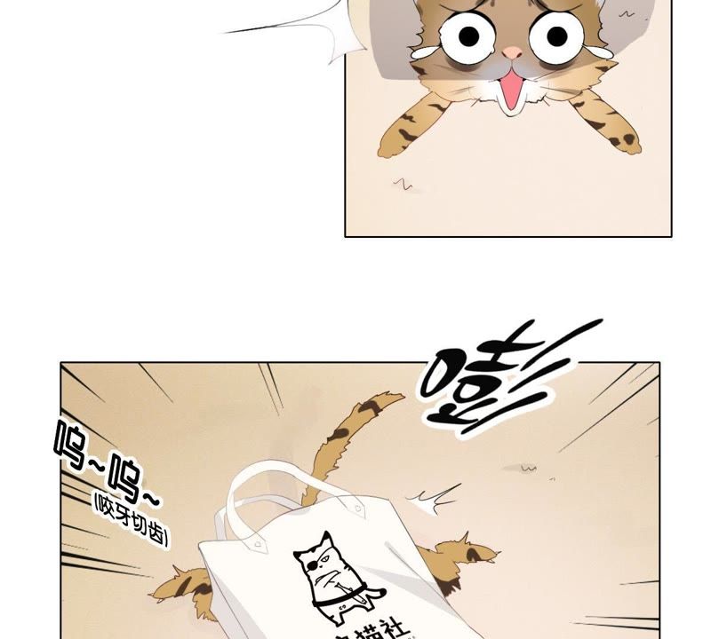 世无良猫韩漫全集-第1话 千年猫男的悲催奇遇无删减无遮挡章节图片 