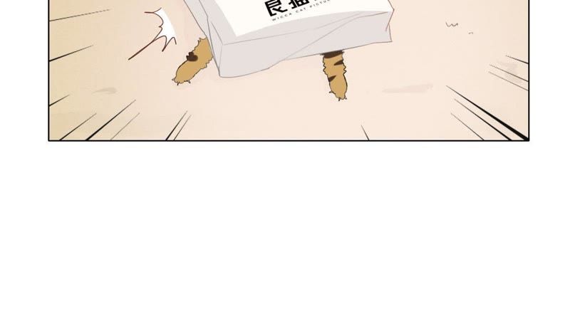 世无良猫韩漫全集-第1话 千年猫男的悲催奇遇无删减无遮挡章节图片 