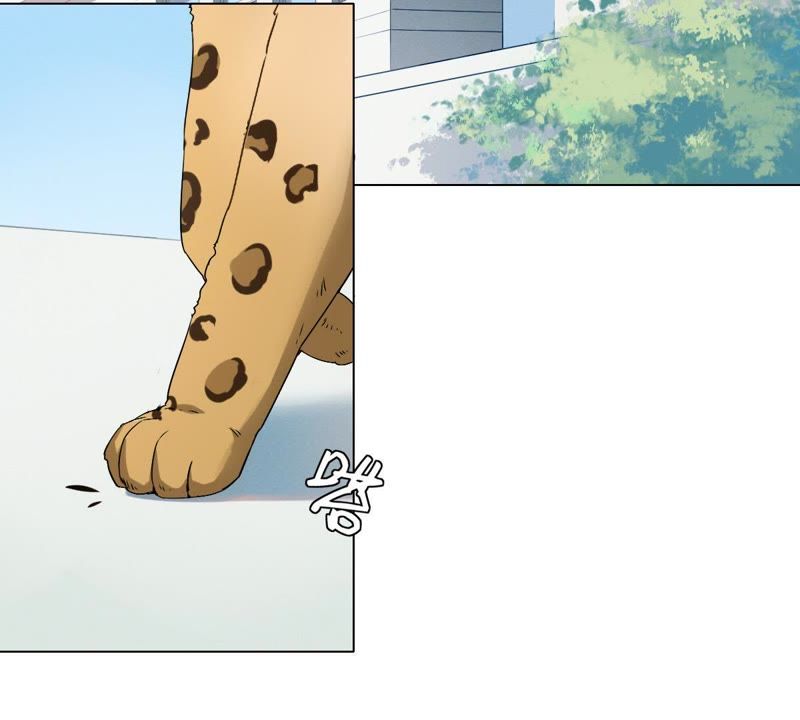 世无良猫韩漫全集-第1话 千年猫男的悲催奇遇无删减无遮挡章节图片 