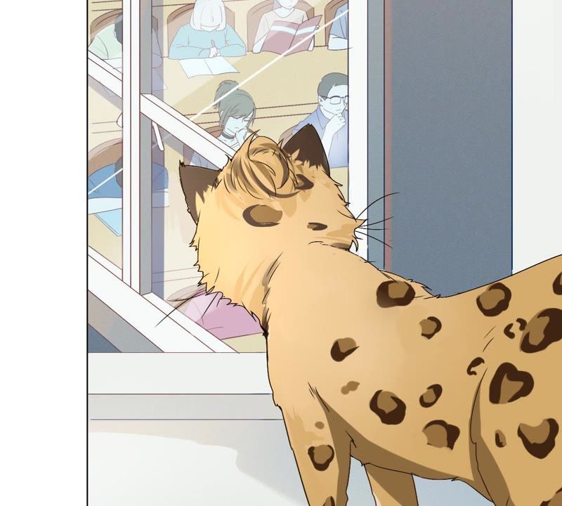 世无良猫韩漫全集-第1话 千年猫男的悲催奇遇无删减无遮挡章节图片 