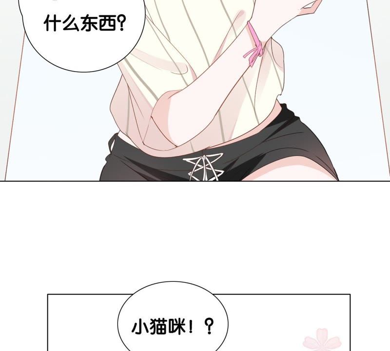 世无良猫韩漫全集-第1话 千年猫男的悲催奇遇无删减无遮挡章节图片 