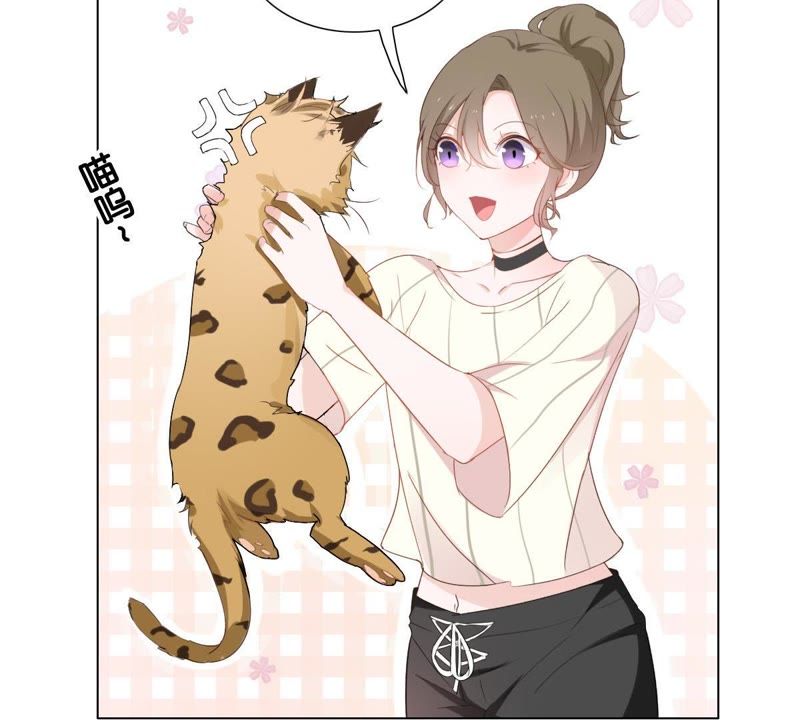 世无良猫韩漫全集-第1话 千年猫男的悲催奇遇无删减无遮挡章节图片 