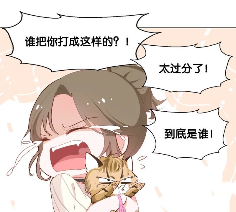 世无良猫韩漫全集-第1话 千年猫男的悲催奇遇无删减无遮挡章节图片 