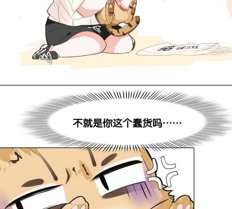 世无良猫韩漫全集-第1话 千年猫男的悲催奇遇无删减无遮挡章节图片 