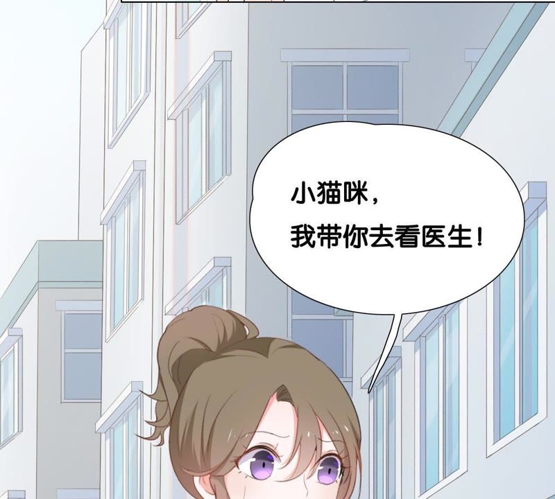 世无良猫韩漫全集-第1话 千年猫男的悲催奇遇无删减无遮挡章节图片 