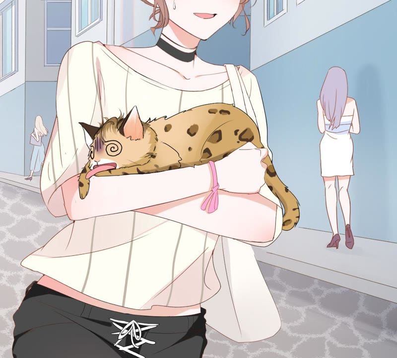 世无良猫韩漫全集-第1话 千年猫男的悲催奇遇无删减无遮挡章节图片 