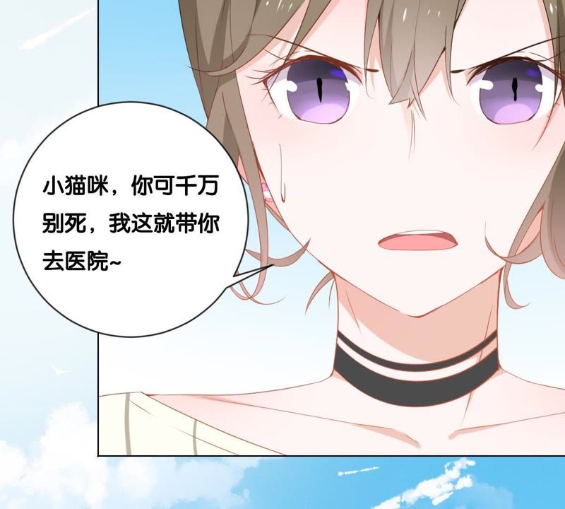 世无良猫韩漫全集-第1话 千年猫男的悲催奇遇无删减无遮挡章节图片 