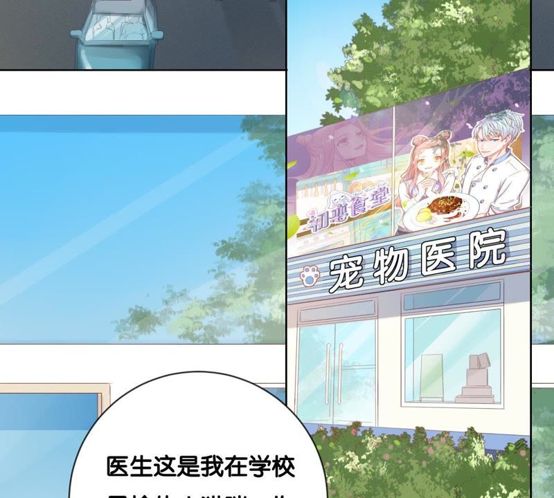 世无良猫韩漫全集-第1话 千年猫男的悲催奇遇无删减无遮挡章节图片 