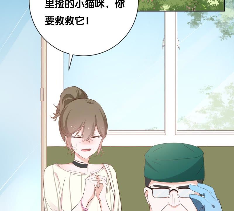 世无良猫韩漫全集-第1话 千年猫男的悲催奇遇无删减无遮挡章节图片 