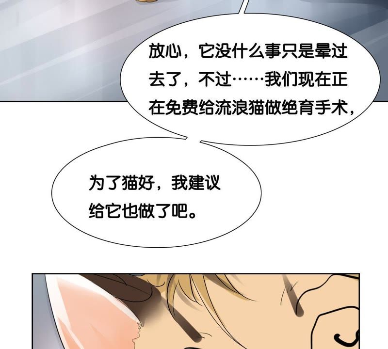 世无良猫韩漫全集-第1话 千年猫男的悲催奇遇无删减无遮挡章节图片 