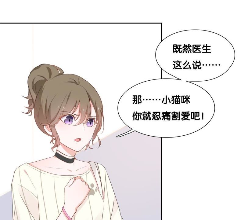 世无良猫韩漫全集-第1话 千年猫男的悲催奇遇无删减无遮挡章节图片 
