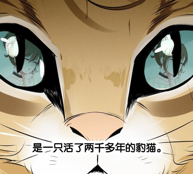 世无良猫韩漫全集-第1话 千年猫男的悲催奇遇无删减无遮挡章节图片 