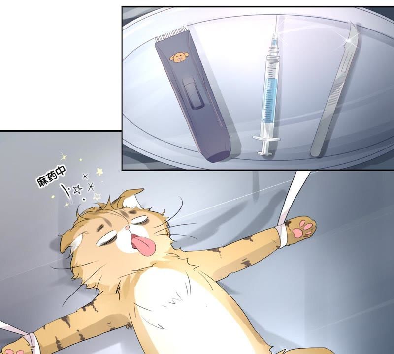 世无良猫韩漫全集-第1话 千年猫男的悲催奇遇无删减无遮挡章节图片 