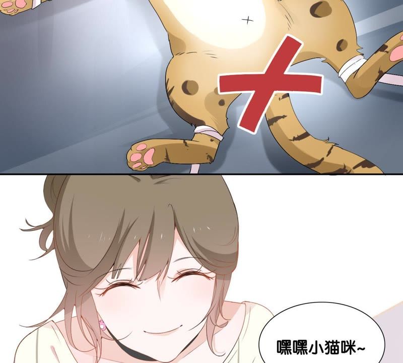 世无良猫韩漫全集-第1话 千年猫男的悲催奇遇无删减无遮挡章节图片 