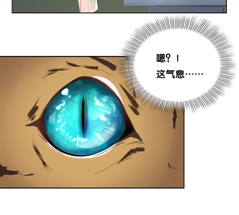 世无良猫韩漫全集-第1话 千年猫男的悲催奇遇无删减无遮挡章节图片 