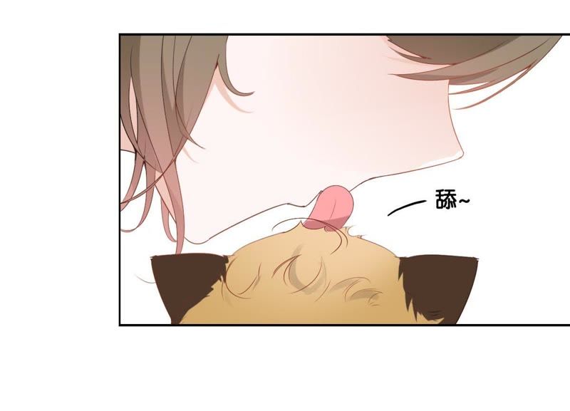 世无良猫韩漫全集-第1话 千年猫男的悲催奇遇无删减无遮挡章节图片 