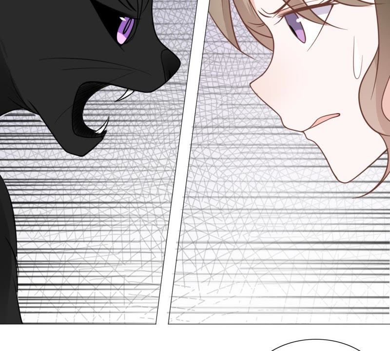 世无良猫韩漫全集-第10话 亲爱的宿敌无删减无遮挡章节图片 