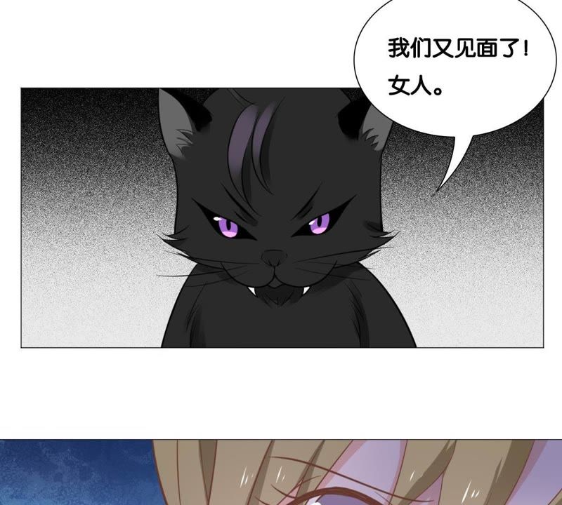 世无良猫韩漫全集-第10话 亲爱的宿敌无删减无遮挡章节图片 