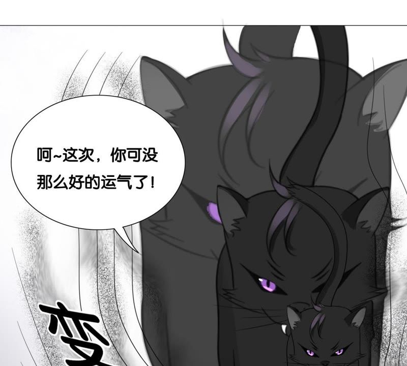 世无良猫韩漫全集-第10话 亲爱的宿敌无删减无遮挡章节图片 