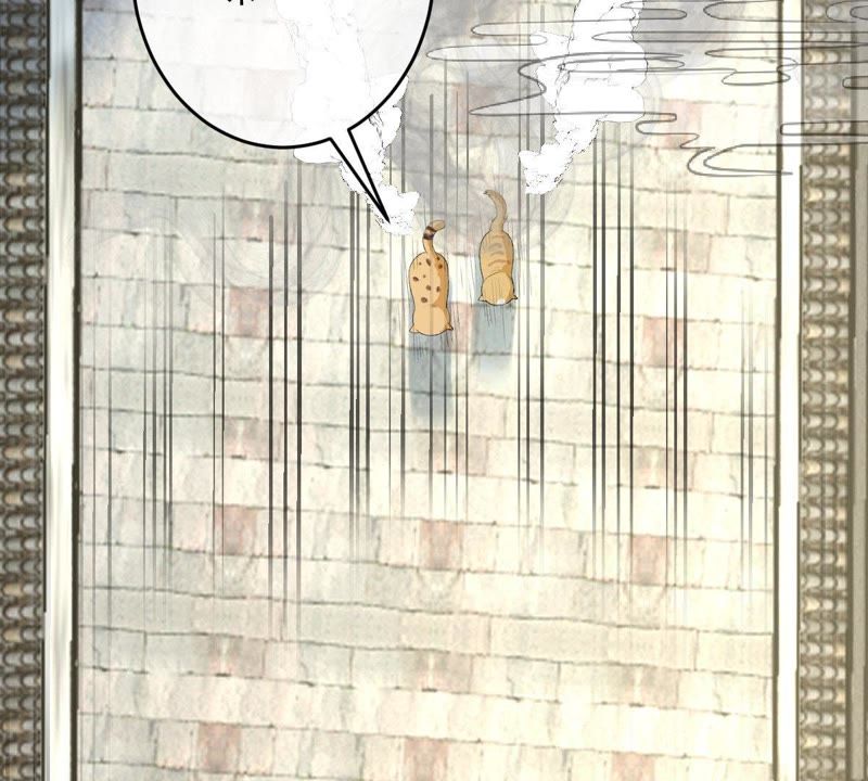 世无良猫韩漫全集-第102话 被抓个现行！无删减无遮挡章节图片 