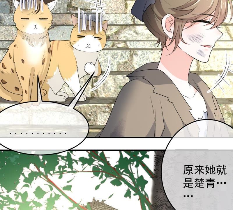 世无良猫韩漫全集-第102话 被抓个现行！无删减无遮挡章节图片 