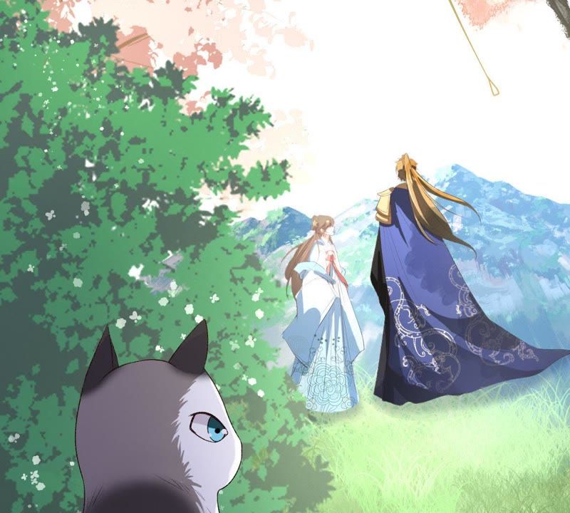 世无良猫韩漫全集-第104话 恢复前世的记忆！无删减无遮挡章节图片 