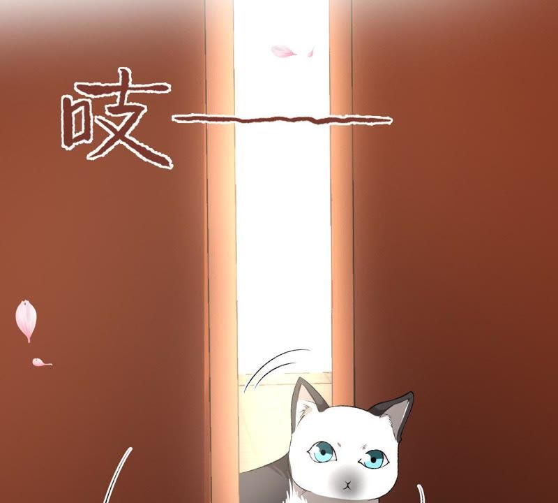 世无良猫韩漫全集-第105话 欠她一个表白无删减无遮挡章节图片 