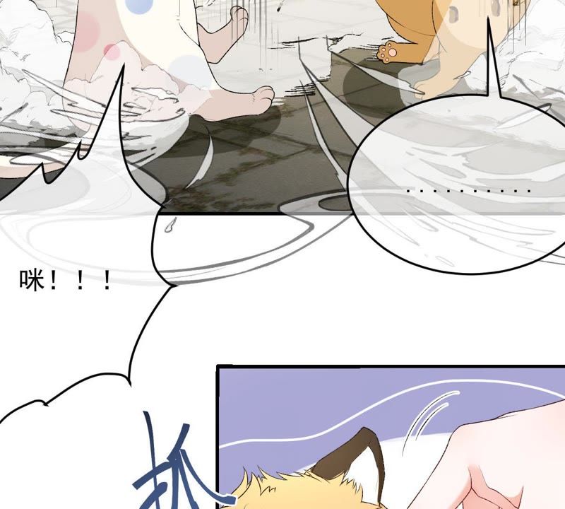 世无良猫韩漫全集-第106话 你们不要打了！无删减无遮挡章节图片 