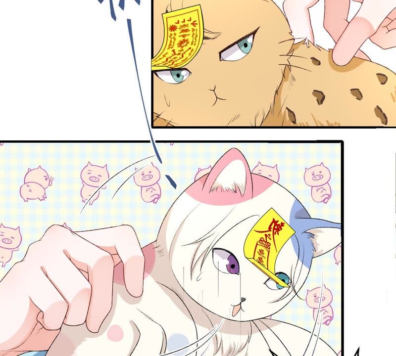 世无良猫韩漫全集-第106话 你们不要打了！无删减无遮挡章节图片 