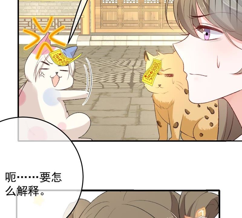 世无良猫韩漫全集-第106话 你们不要打了！无删减无遮挡章节图片 