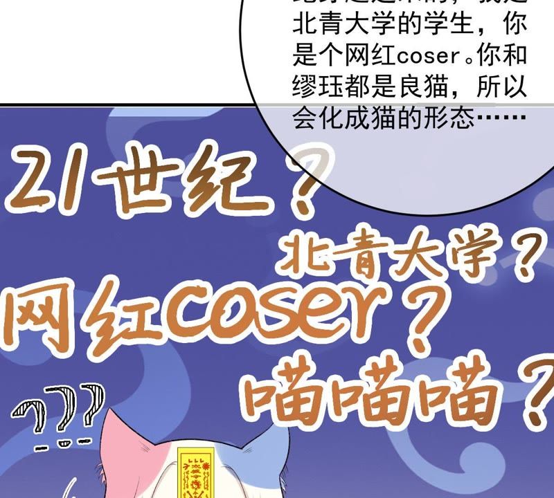 世无良猫韩漫全集-第106话 你们不要打了！无删减无遮挡章节图片 