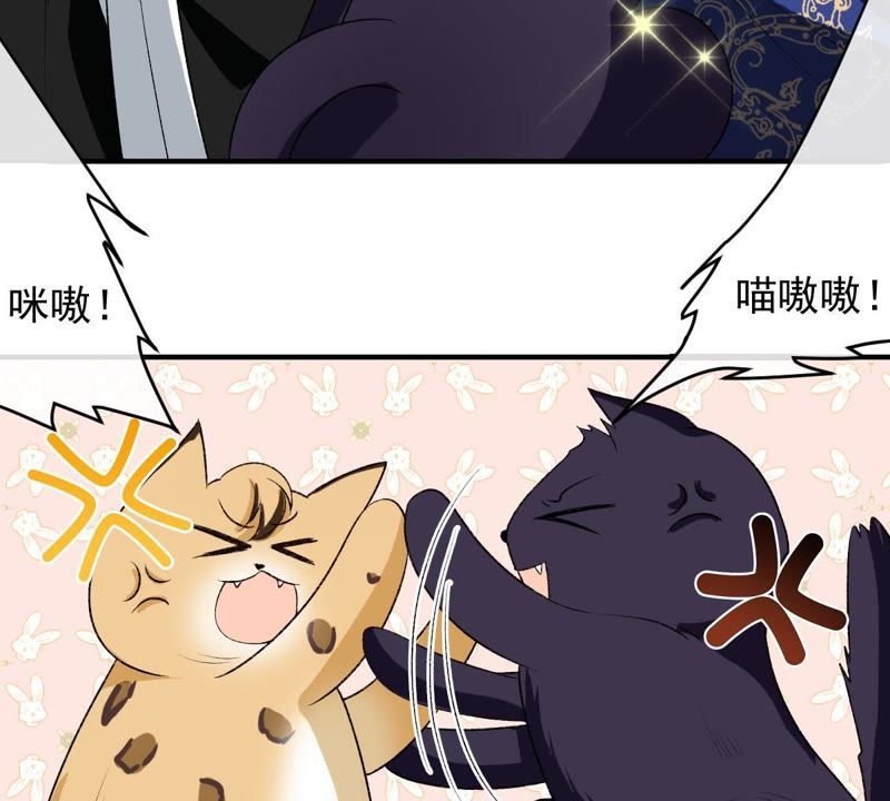 世无良猫韩漫全集-第109话 帮他打掩护！无删减无遮挡章节图片 