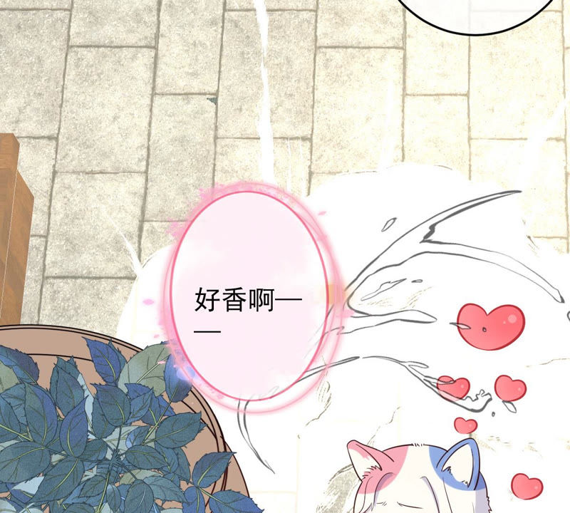 世无良猫韩漫全集-第123话 特殊的撸猫方式无删减无遮挡章节图片 