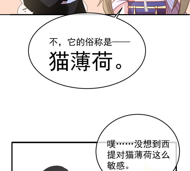 世无良猫韩漫全集-第123话 特殊的撸猫方式无删减无遮挡章节图片 