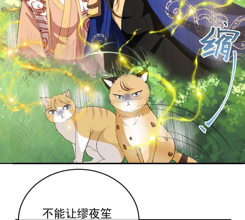 世无良猫韩漫全集-第124话 神秘的“山神”无删减无遮挡章节图片 