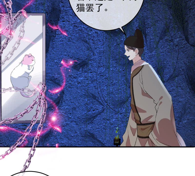 世无良猫韩漫全集-第125话 大开杀戒无删减无遮挡章节图片 