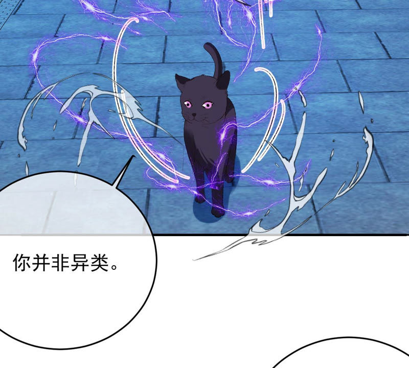 世无良猫韩漫全集-第126话 变回可爱的小猫咪无删减无遮挡章节图片 