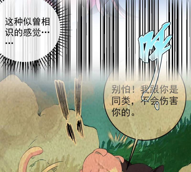 世无良猫韩漫全集-第126话 变回可爱的小猫咪无删减无遮挡章节图片 