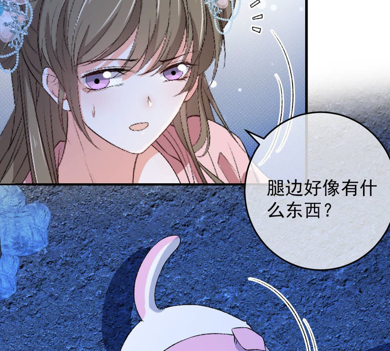 世无良猫韩漫全集-第126话 变回可爱的小猫咪无删减无遮挡章节图片 