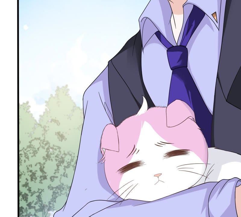 世无良猫韩漫全集-第13话 主动献吻无删减无遮挡章节图片 