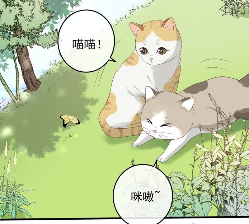 世无良猫韩漫全集-第13话 主动献吻无删减无遮挡章节图片 