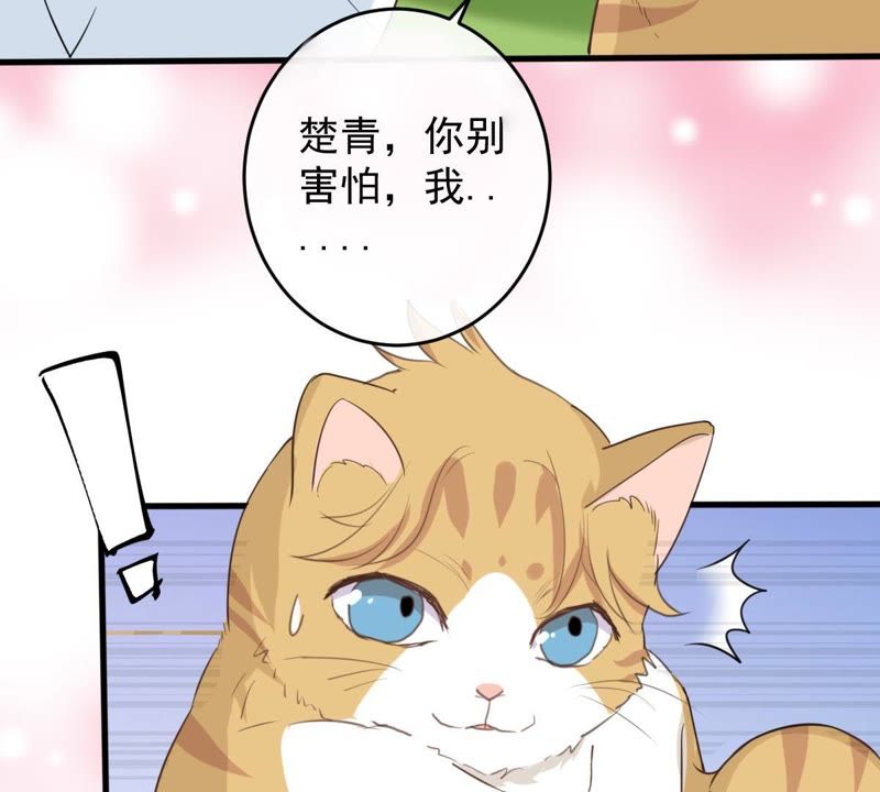 世无良猫韩漫全集-第13话 主动献吻无删减无遮挡章节图片 