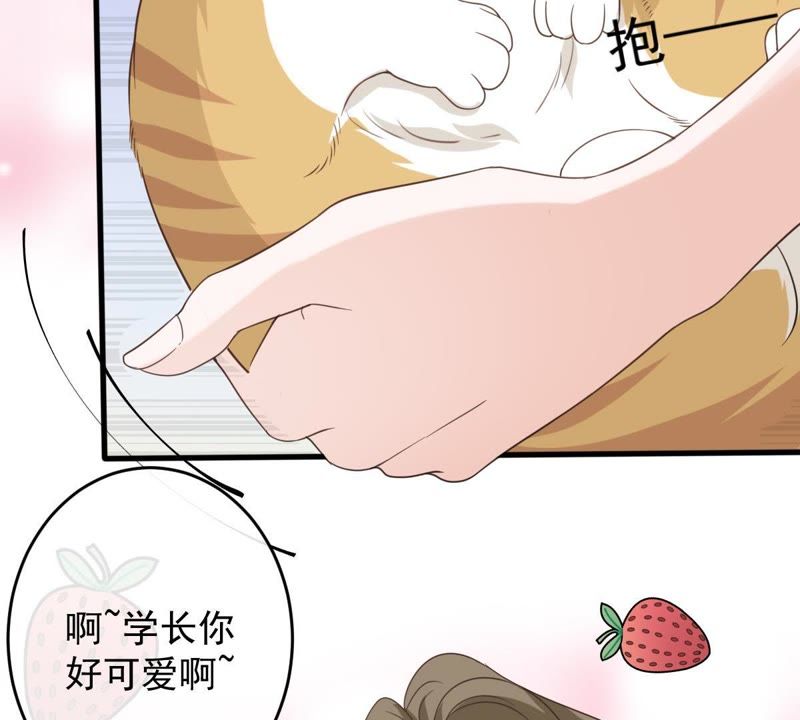 世无良猫韩漫全集-第13话 主动献吻无删减无遮挡章节图片 