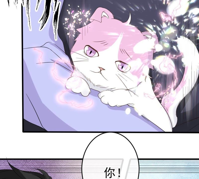 世无良猫韩漫全集-第13话 主动献吻无删减无遮挡章节图片 