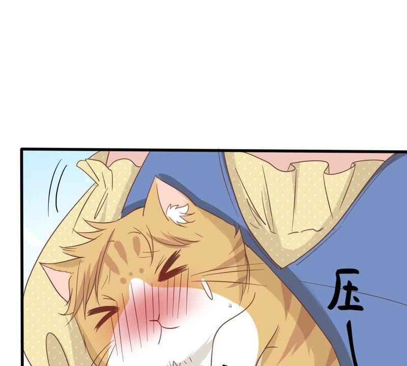 世无良猫韩漫全集-第13话 主动献吻无删减无遮挡章节图片 