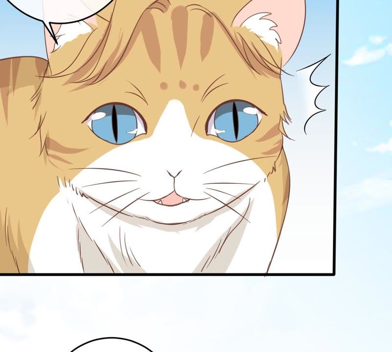 世无良猫韩漫全集-第13话 主动献吻无删减无遮挡章节图片 