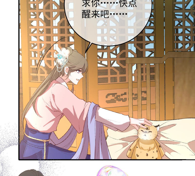 世无良猫韩漫全集-第128话 求求你快醒来！无删减无遮挡章节图片 