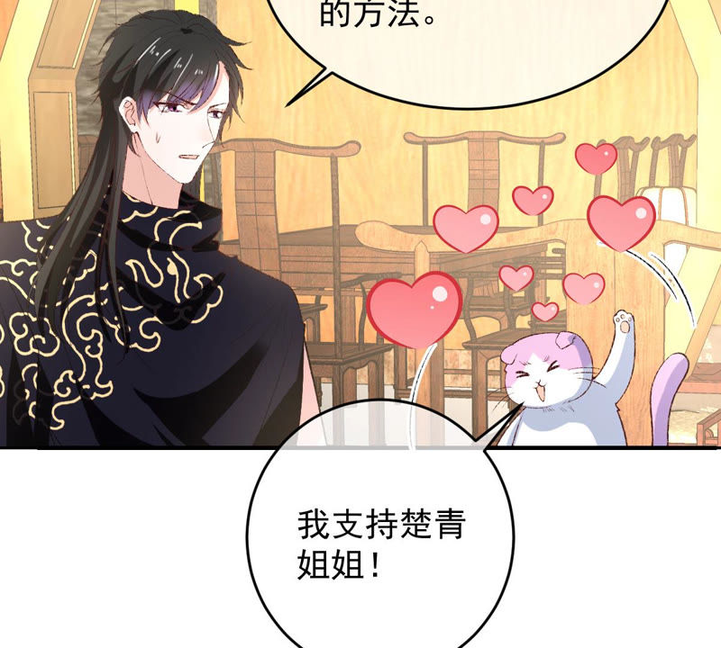 世无良猫韩漫全集-第130话 戚小妹的下落无删减无遮挡章节图片 