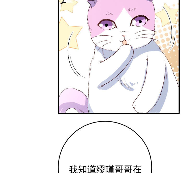 世无良猫韩漫全集-第130话 戚小妹的下落无删减无遮挡章节图片 