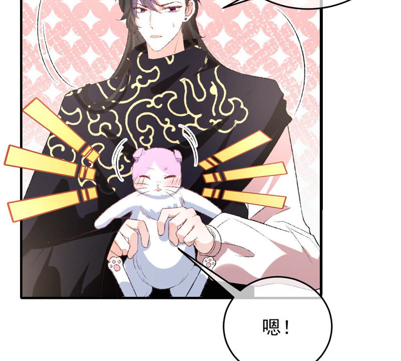 世无良猫韩漫全集-第130话 戚小妹的下落无删减无遮挡章节图片 